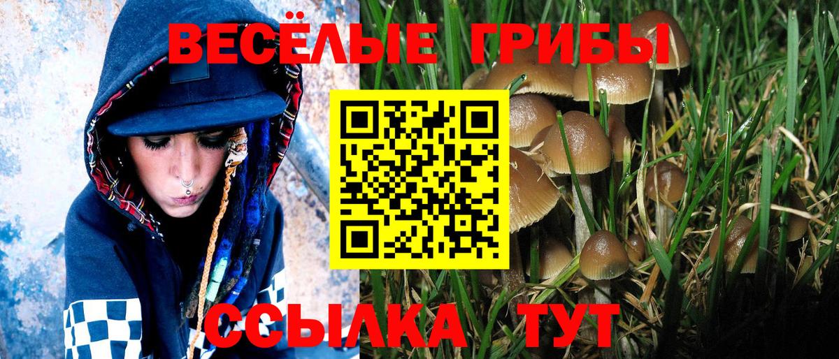 Галлюциногенные грибы ЛСД Минусинск