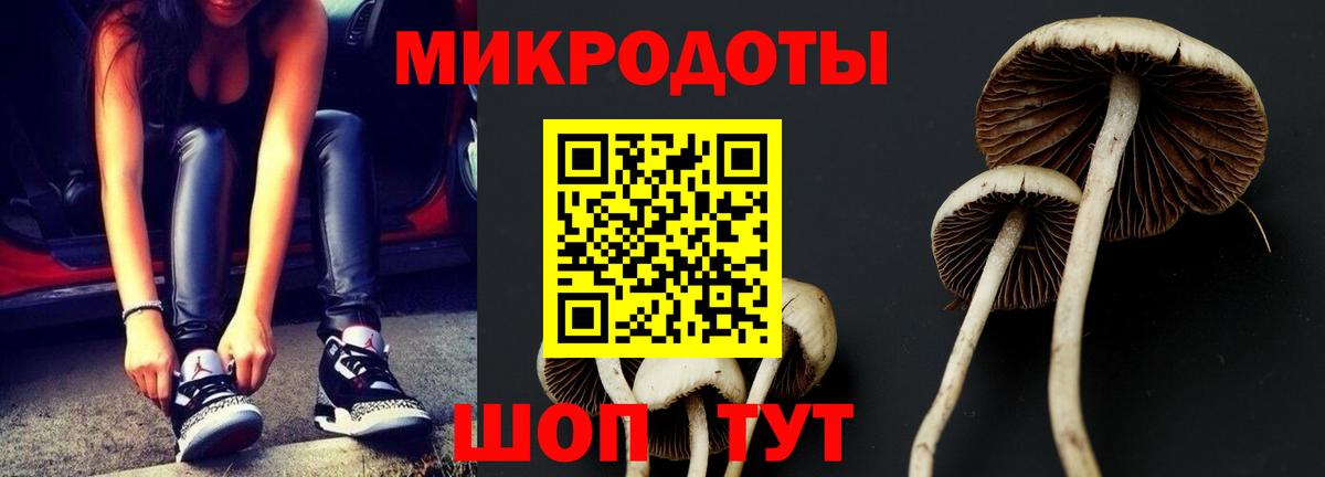 Псилоцибиновые грибы мухоморы  что такое наркотик  Минусинск  Вход с VPN  Галлюциногенные грибы Cubensis 