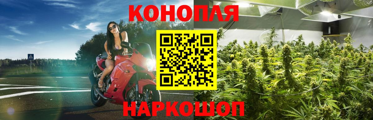 Конопля гибрид  Вход с VPN  Бошки Шишки THC 21%  Канабис OG Kush  Минусинск  Канабис OG Kush 